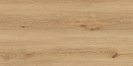Керамогранит GT5010026902MCR Вуди Бежевый 50x100 (Global Tile)