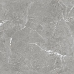 Stone Cool Grey Керамогранит серый 60х60 Матовый-4