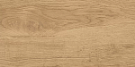 Керамогранит GT220VG Florida Бежевый 30x60 (Global Tile)