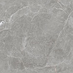 Stone Cool Grey Керамогранит серый 60х60 Матовый-3