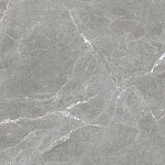 Stone Cool Grey Керамогранит серый 60х60 Матовый-6