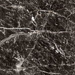 Керамогранит Найт-Р  600x600x9 Керамин-4