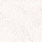 Керамогранит Primavera Пантир 60x60 см (TP66M17)-4