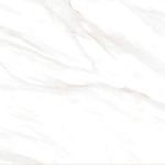 Calacatta Clarity Gold Керамогранит белый 60х60 Матовый-4