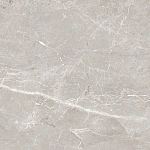 Керамогранит GT606012101SPR Tulip Серый Soft Sugar 60x60-5