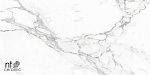 Керамогранит NTT9125M Statuario Infinity 60x120-9