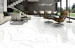 Керамогранит NTT99513M Maritaca Statuario Ultra White 60x120-31
