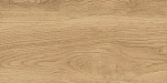 Керамогранит GT220VG Florida Бежевый 30x60-5