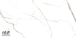 Керамогранит NTT9122M Barbara White Mat 60x120