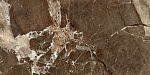 Керамогранит Континент коричневый / Kontinent brown 60120KTN21P 60x120 Artkera Group