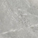 Керамогранит D60259M Wild Light матовый 600x600x9.5 New Trend-5