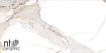 Керамогранит NTT9120M Calacatta Light Grey Mat 60x120-6