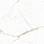 Керамогранит Наполи / Napoli GFU6060NPL04R 60x60 Alma Ceramica-7