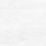 Flagman Керамогранит светло-серый K952736R0001LPET 60x60-5