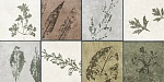 Плитка GT234VG Delia Мультиколор 30x60-3