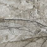 Керамогранит Meissen Keramik Marble Skin ржавый серый ректификат 79,8x79,8 A16245-4