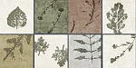 Плитка GT234VG Delia Мультиколор 30x60-6