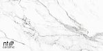 Керамогранит NTT9125M Statuario Infinity 60x120-5