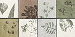 Плитка GT234VG Delia Мультиколор 30x60-5