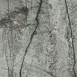 Керамогранит Meissen Keramik Essential полированный серый ректификат 79,8x79,8 A16464-3