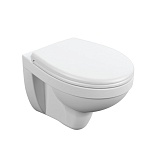 Подвесной унитаз DELFI TPL