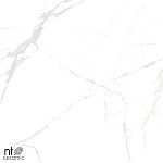 Керамогранит NTT996070M Callacata Carving 60x60-13