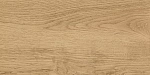 Керамогранит GT220VG Florida Бежевый 30x60-9