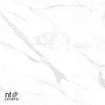 Керамогранит NTT99506P Statuario Endless 60x120-13