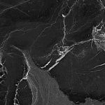 Керамогранит Primavera Dalim Black 60*60см 1,8м2-2