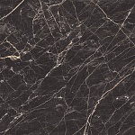 Black Arkadia Керамогранит черный полированный 60х60-11