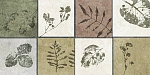 Плитка GT234VG Delia Мультиколор 30x60-2