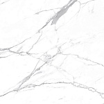 Carrara Terrific Silver Керамогранит белый 60х60 Матовый-5