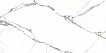 Керамогранит 6260-0246-1031 Corona Белый 30x60-6