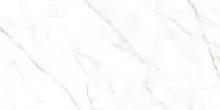 Керамогранит Neo Calacatta GFU60120NCL04R 60х120 Alma Ceramica
