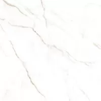 GFU04NCL04R плитка керамогранитная Neo Calacatta 600*600*9