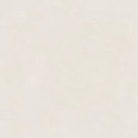 Керамогранит Evolution GFU04EVL08R 60x60 Alma Ceramica