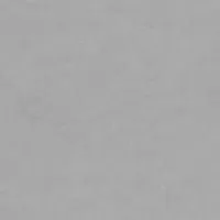 GRS09-09 Sigiriya - Clair 600x600x10