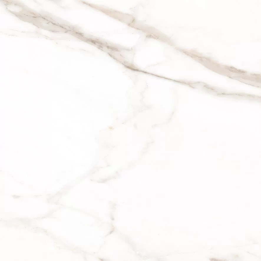 Calacatta Goddes Gold Керамогранит белый 60х60 Полированный