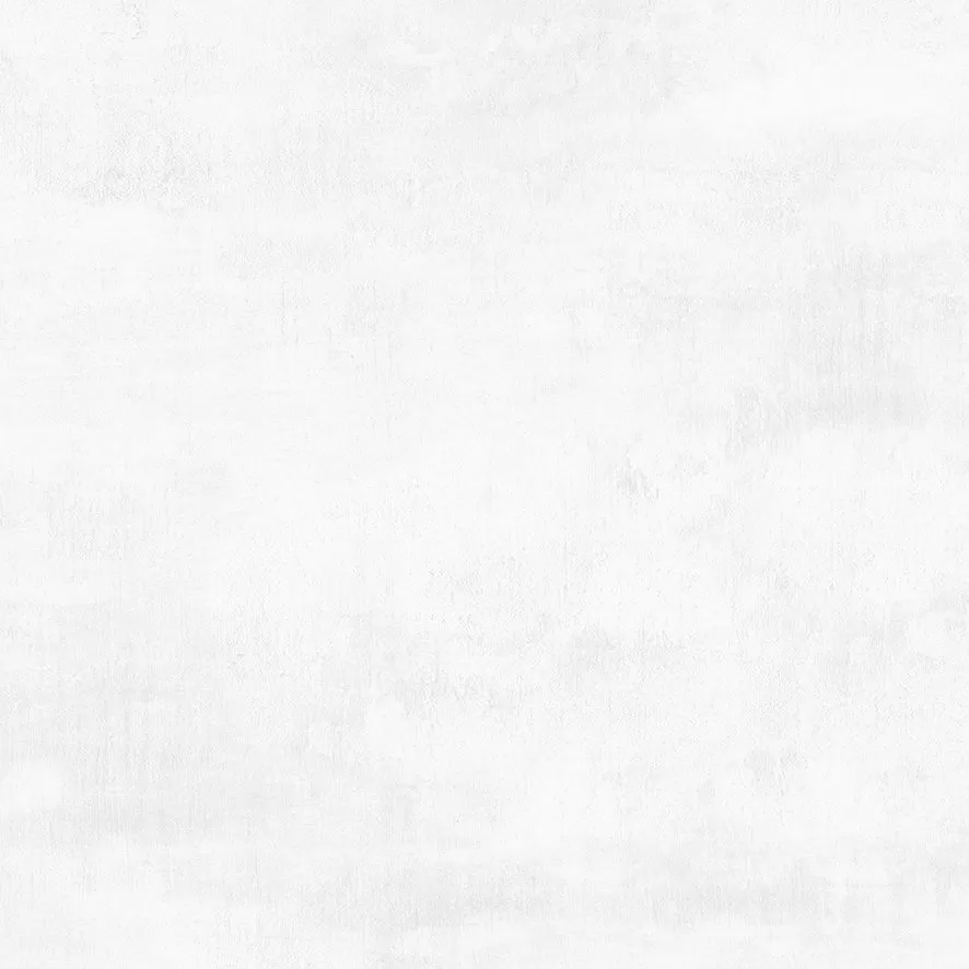 Flagman Керамогранит светло-серый K952736R0001LPET 60x60 (Laparet)