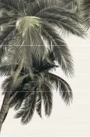 Del Mare PWU09DLM3 панно