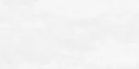 Flagman Керамогранит светло-серый K952677R0001LPER 60х120 (Laparet)