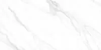 Керамогранит American Calacatta 60120AMC15P 60х120 LCM