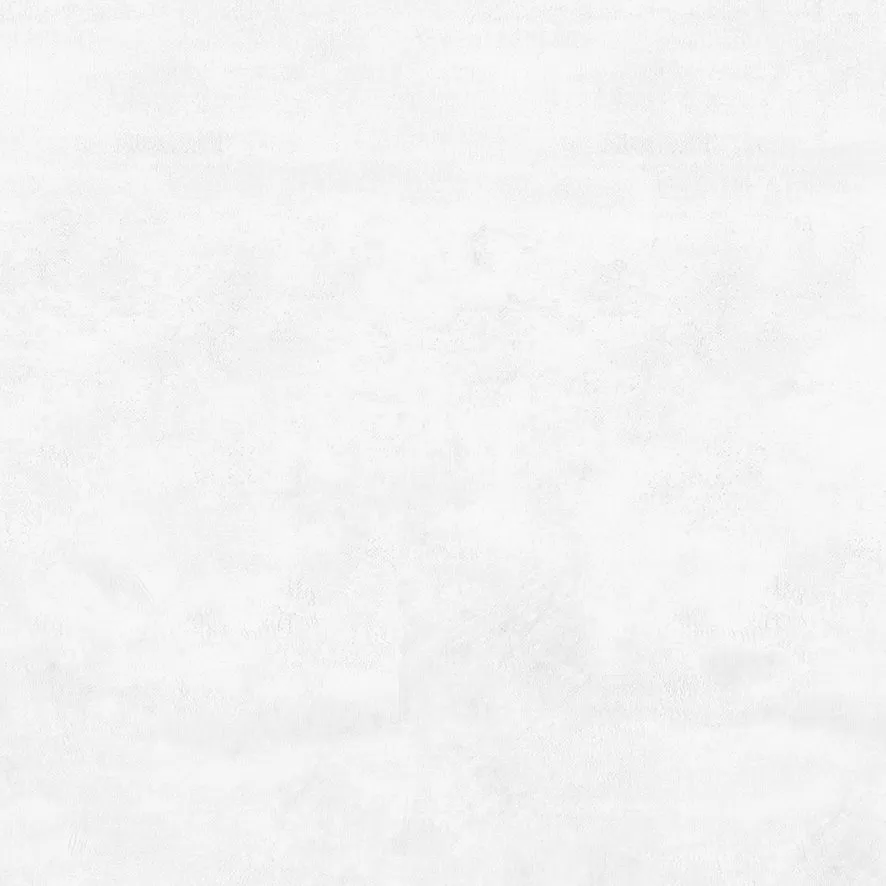 Flagman Керамогранит светло-серый K952736R0001LPET 60x60 (Laparet)