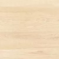 Briole Wood FT3BRE11 Керамогранит