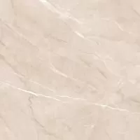 GFU04PLP04R плитка керамогранитная Pulpis 600*600*9 Alma Ceramic