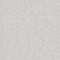 Керамогранит Ametis by Estima Spectrum Керамогранит Spectrum SR d10 60x60x1 неполированный Белый