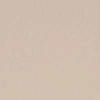 Керамогранит Standard ST 17 60x60x1 неполированный Бежевый