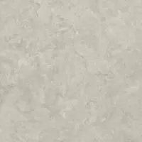 Керамогранит RC Shell LB 60х60 Creto
