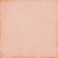 Плитка керамическая напольная 24388 ART NOUVEAU Coral Pink 20х20 см Equipe Ceramicas