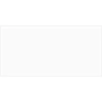 SNOW WHITE 60x120 MATT